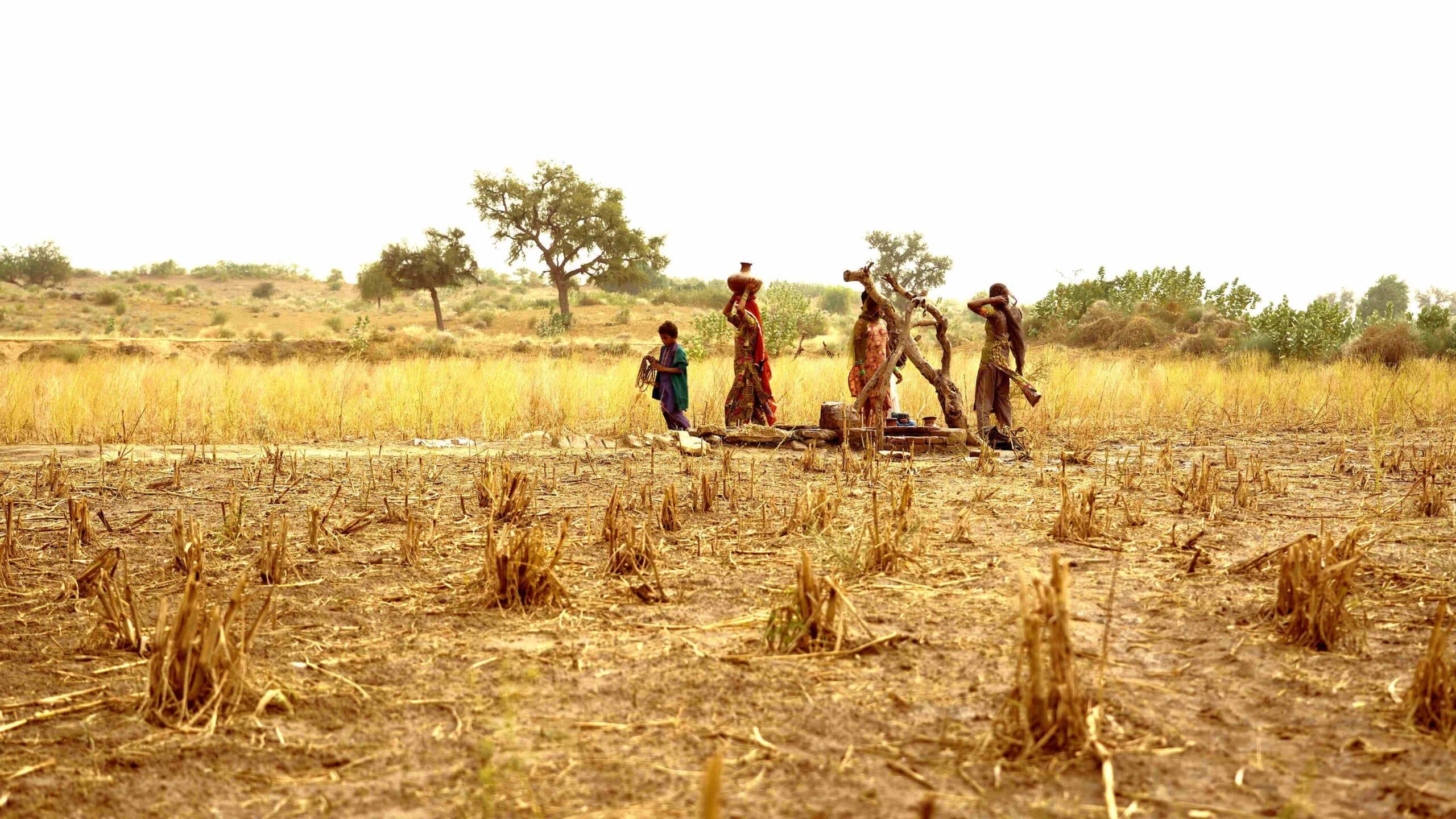 How coal and water mix in Thar to poison every aspect of life